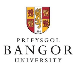 Bangor International College Bangor