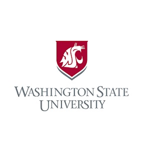 Washington State University Seattle