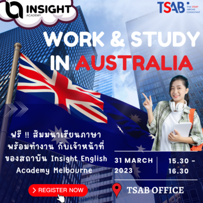 สัมมนา insight (3) สัมมนา insight (3)